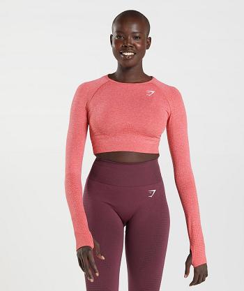 Dámské Oříznuté Topy Gymshark Vital Seamless 2.0 Červené | CZ 3739HAP